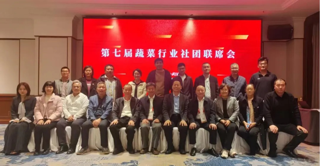 1762247250656724.jpg 1.jpg