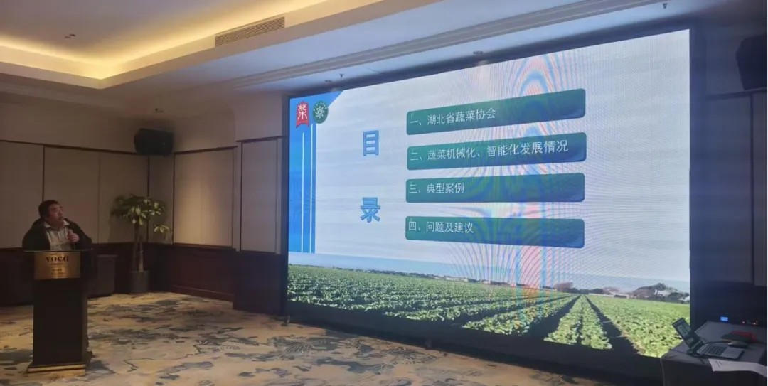 1762247282471986.jpg 2.jpg