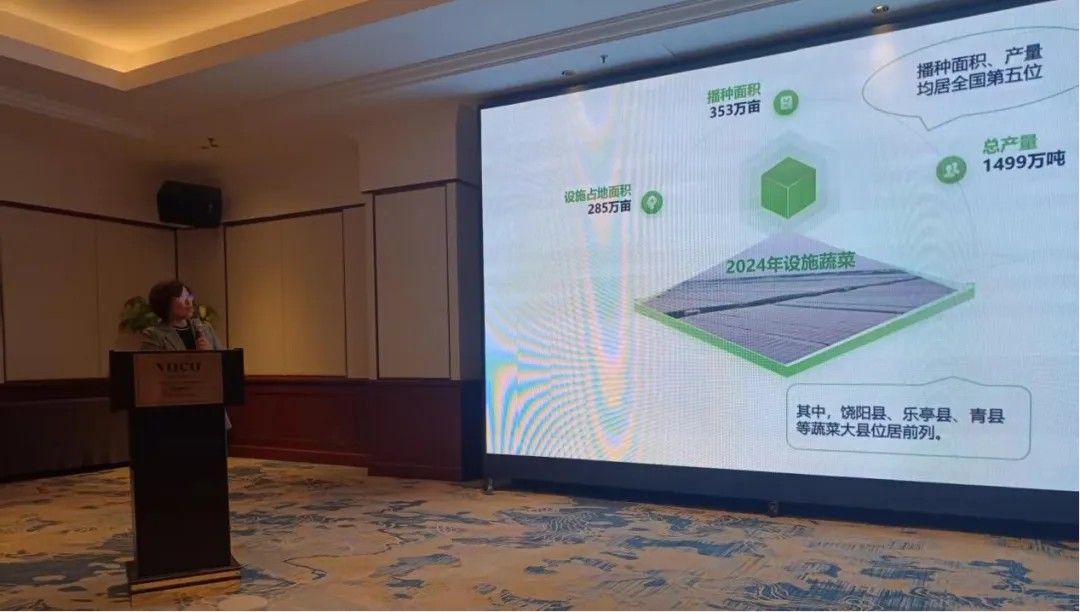 1762247287980453.jpg 3.jpg